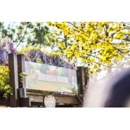 3° año en BUENOS AIRES CULTURAL - Secundario